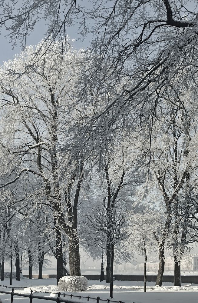 Photograph by Ольга Терскова