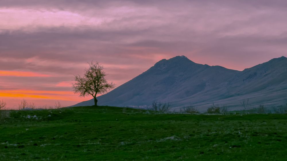 Photograph by Mohammadzaher Mohyadini