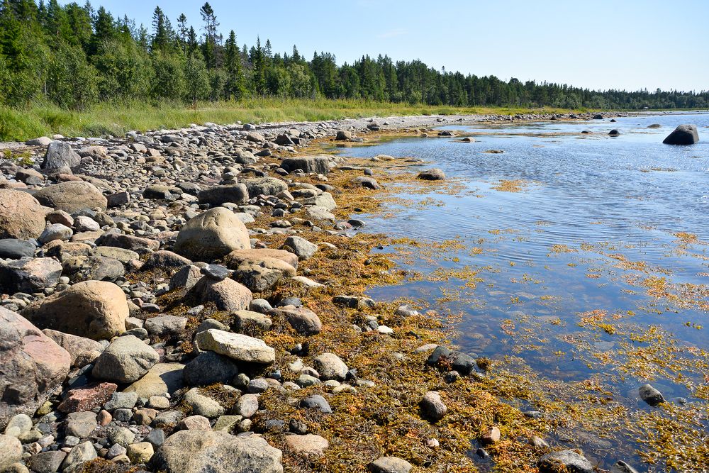 Photograph by Olga Mendosa