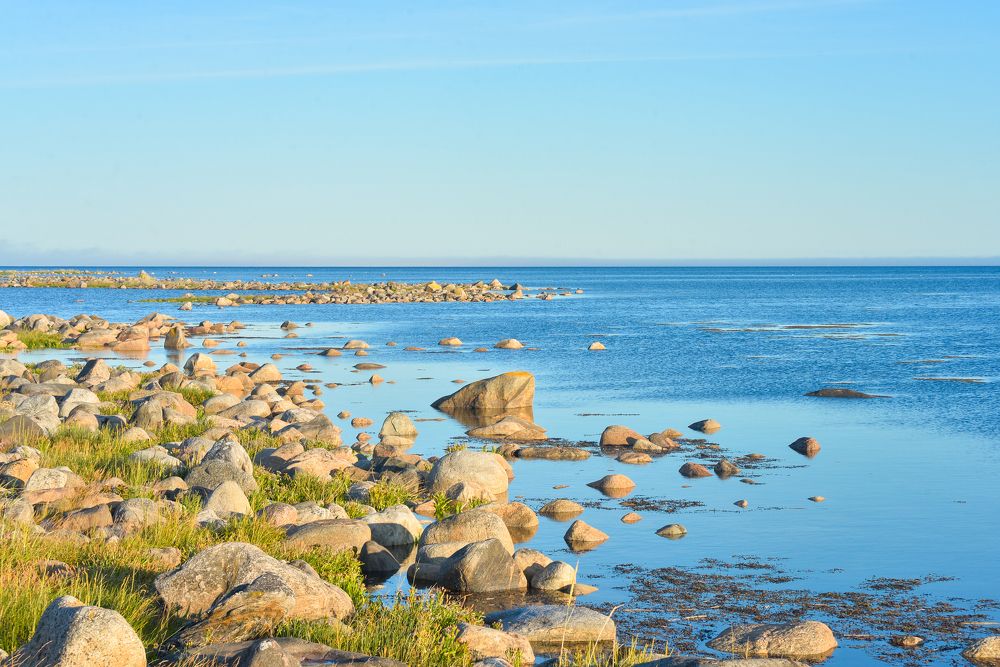 Photograph by Olga Mendosa