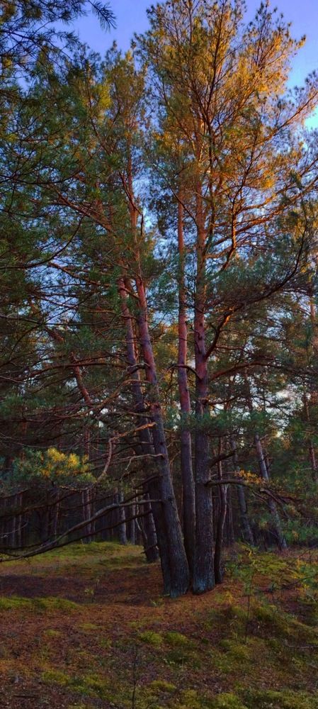 Photograph by Александр Соколов