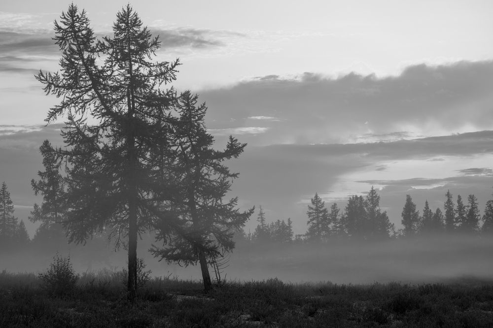 Фотография автора Viktoriya Kim