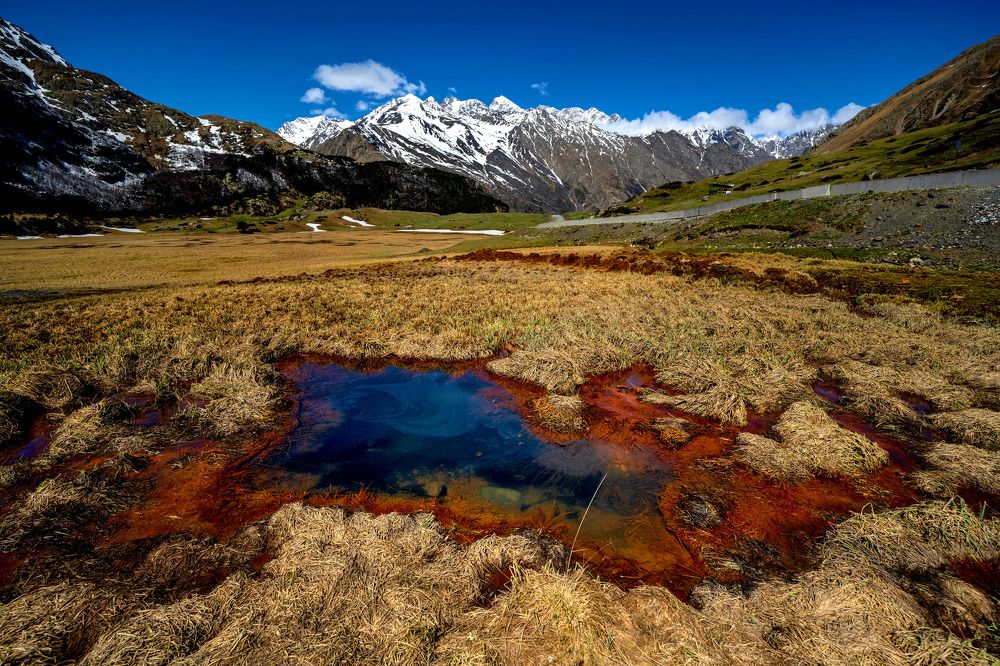 Фотография автора Ахмат Байсиев