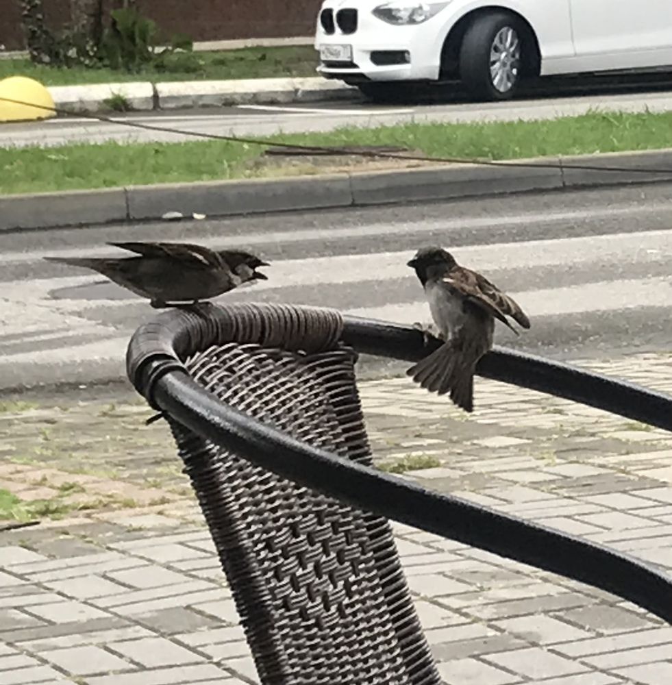 Ты где пропала? Почему заставляешь себя ждать и волноваться?!