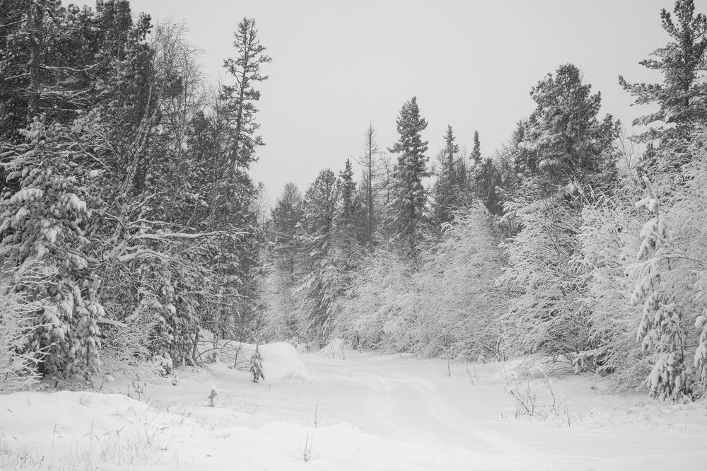 Фотография автора Viktoriya Kim