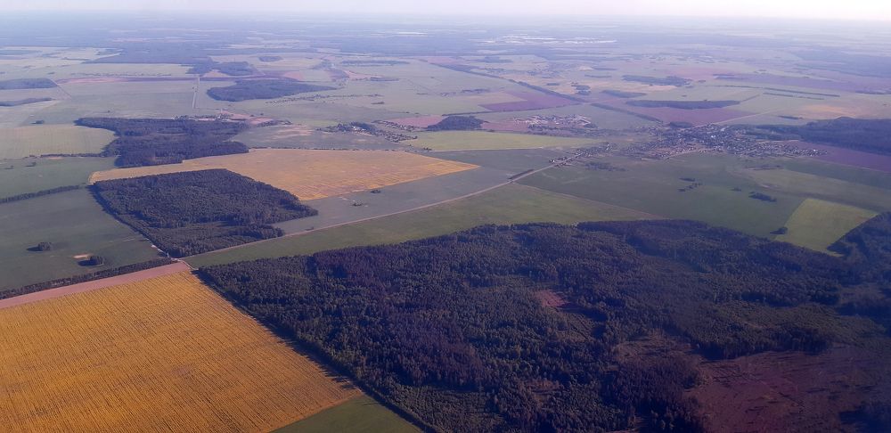 Фотография автора Юлия Паска