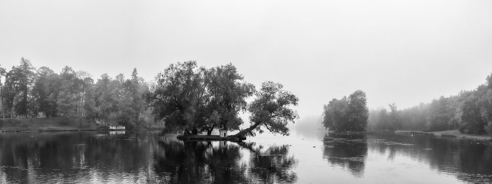 Photograph by Армашов-Тельник Григорий