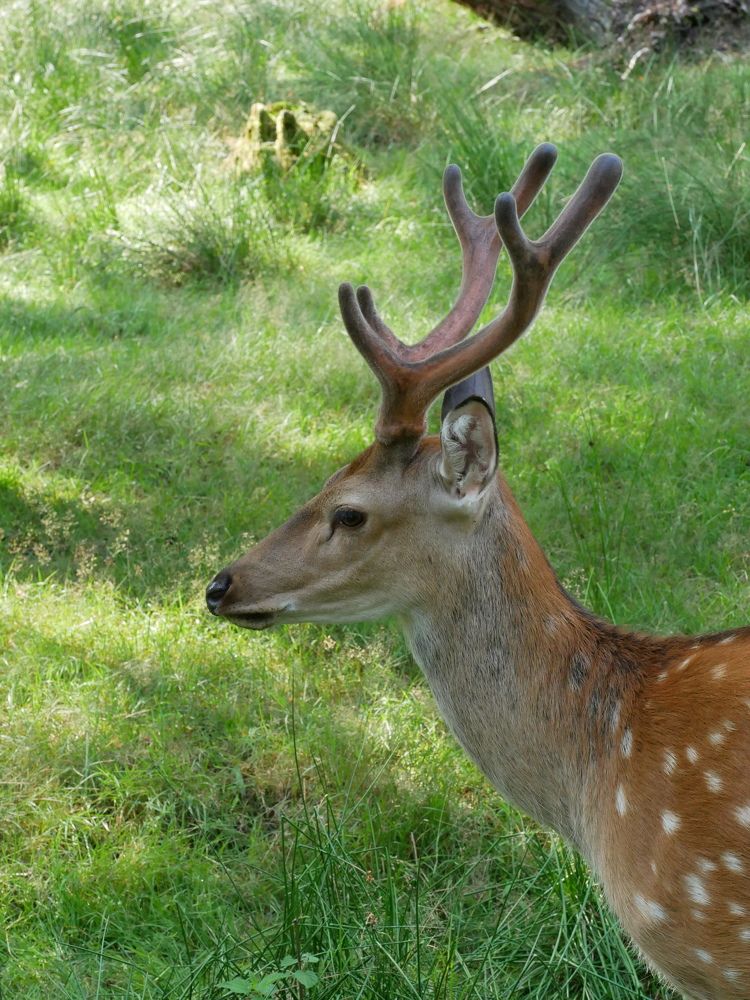 Photograph by Наталья Лобанова