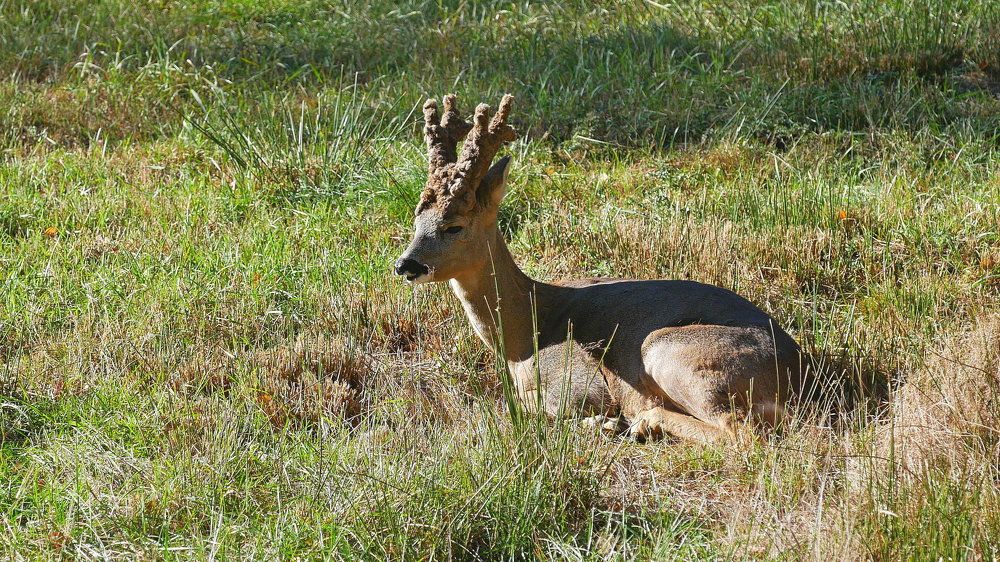 Photograph by Наталья Лобанова
