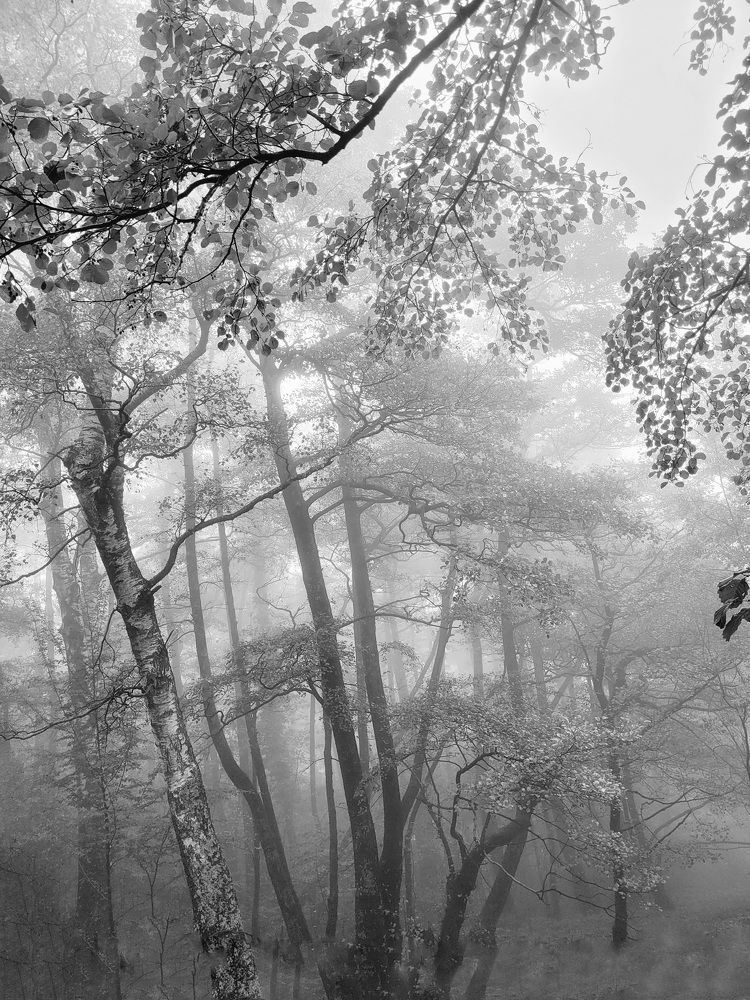 Photograph by Catherine Walter-Prêtre