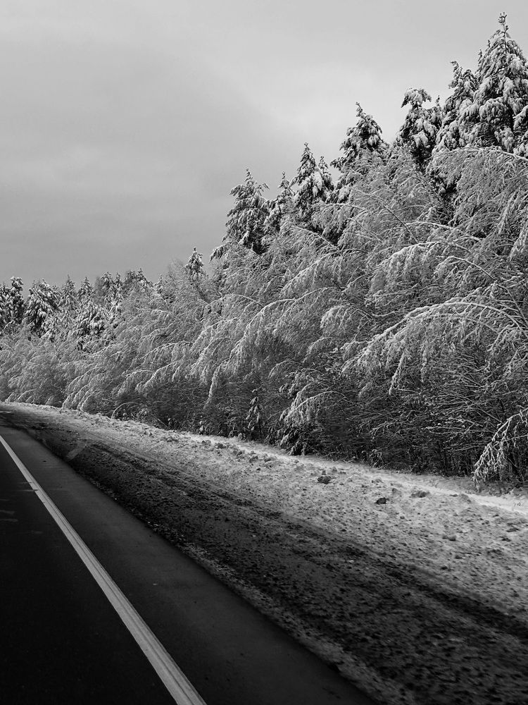 Photograph by Александра Зайниева