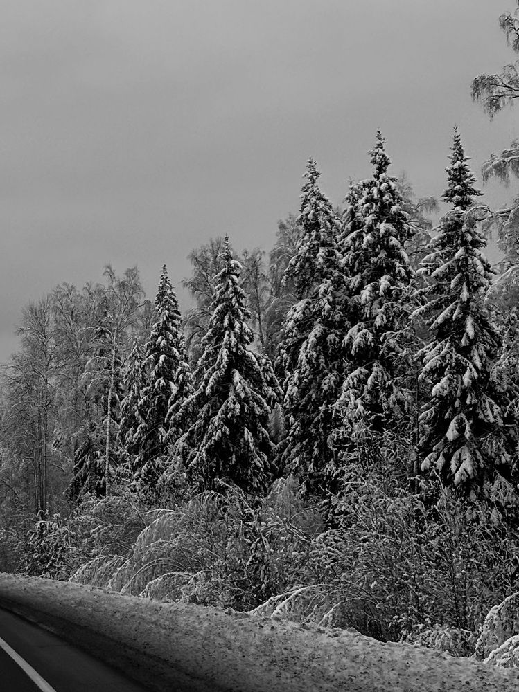 Photograph by Александра Зайниева