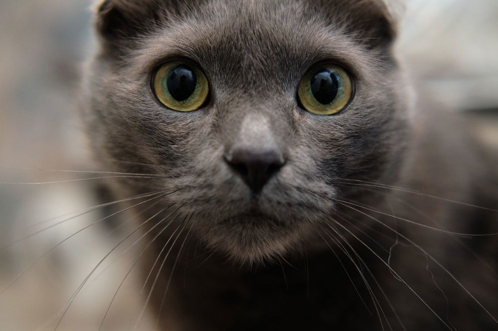 Photograph by Татьяна Рымар