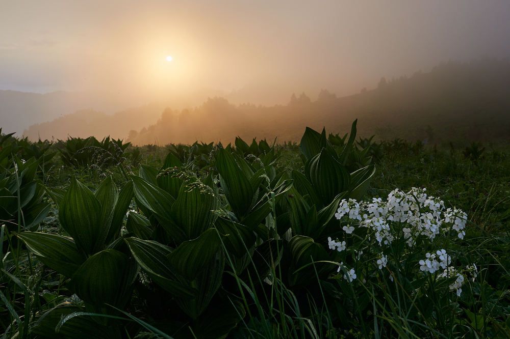 Photograph by Александр Авдушев