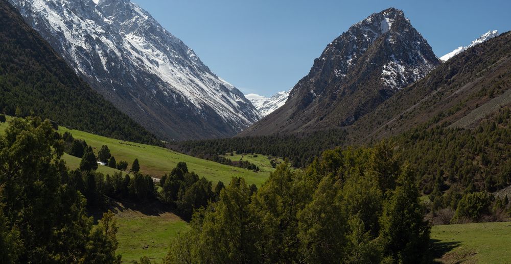 Photograph by Максим Захаров