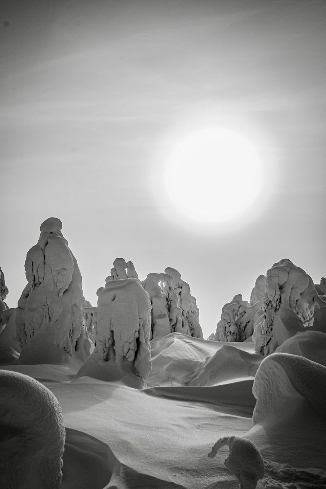 Photograph by Дулова Анастасия