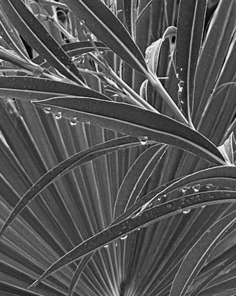 Фотография автора Марина Булатова