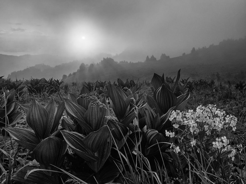 Photograph by Александр Авдушев