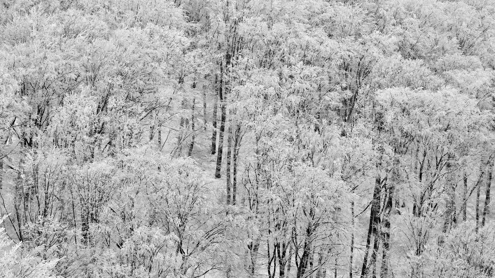 Photograph by Анастасия Васина