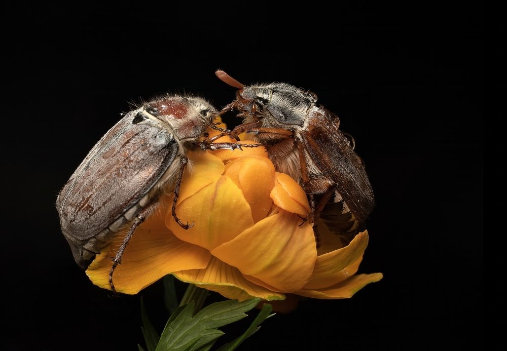 Photograph by Людмила Железнова