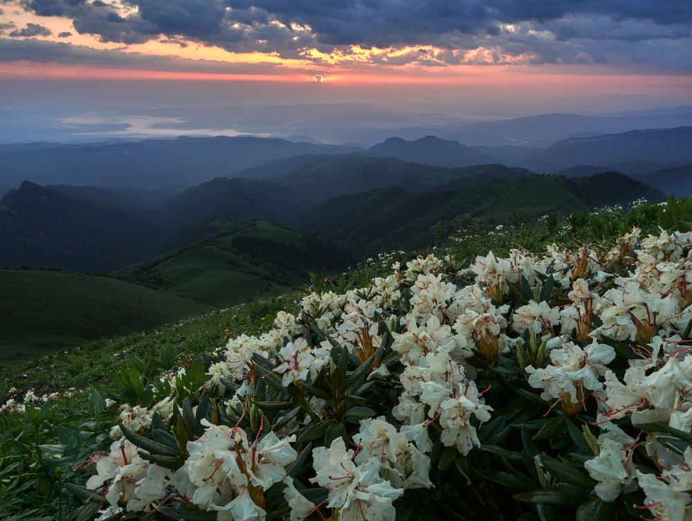 Photograph by Александр Авдушев