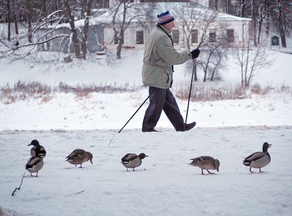 Photograph by Надежда Васильева