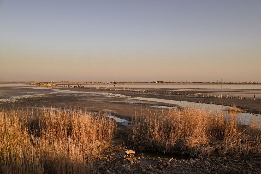 Фотография автора Александра Белова