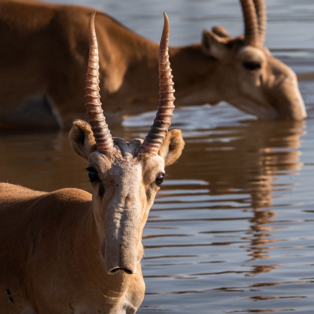 Photograph by Анна Стрелковская