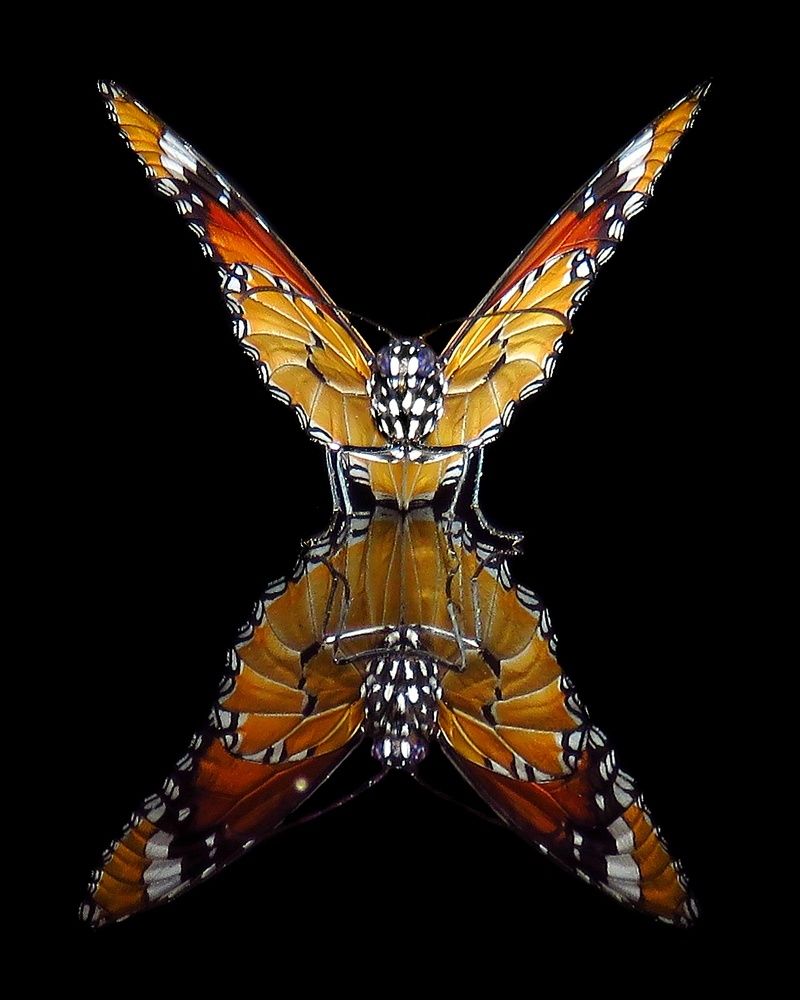 Photograph by Amin Ghaffarian