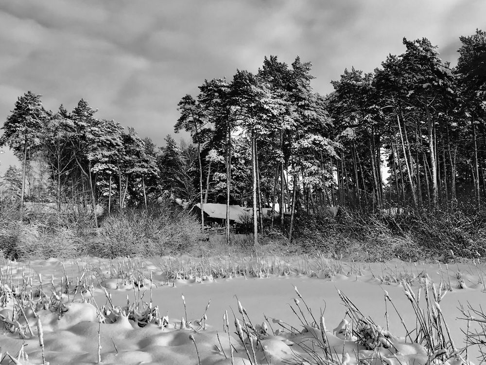 Photograph by Шестакова Наталья