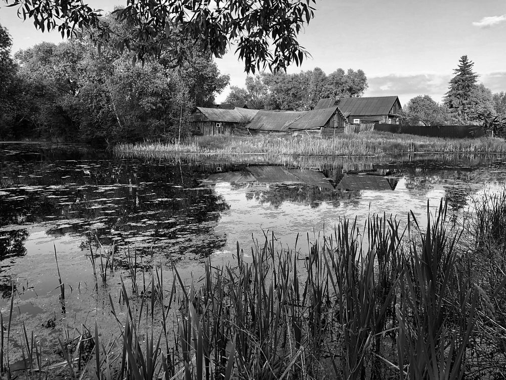 Photograph by Шестакова Наталья