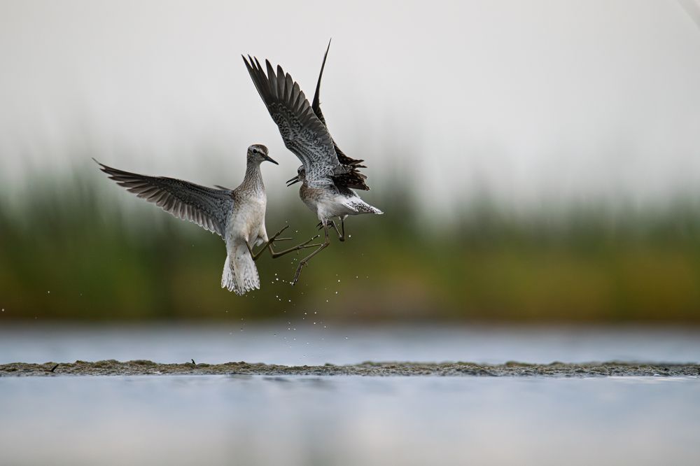 Photograph by Федорако Дмитрий