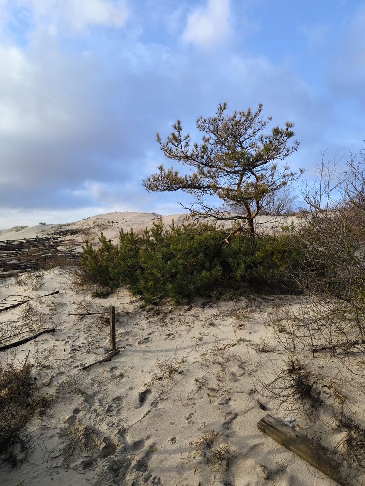 Photograph by Olga Nevedrova