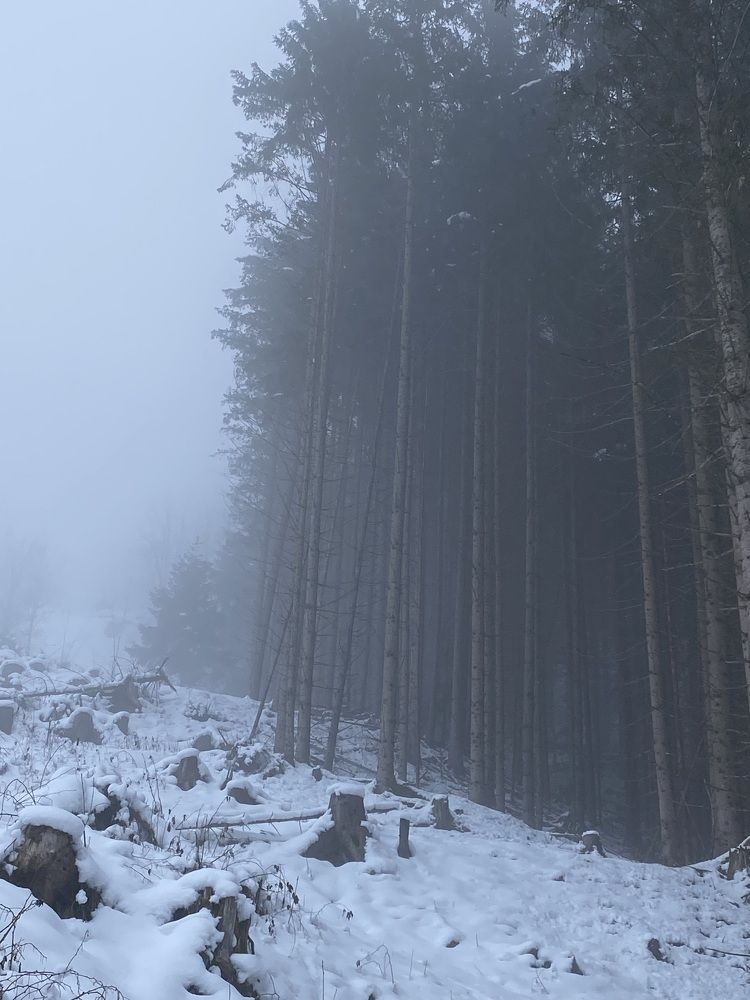 Photograph by Лидия Горностаева