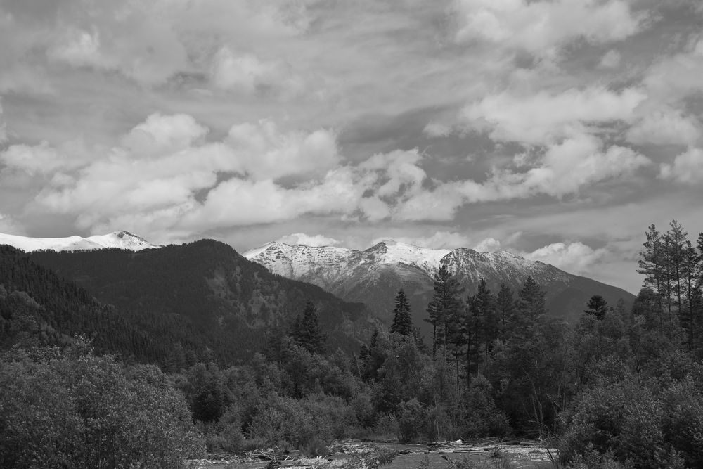 Фотография автора Медведев Сергей