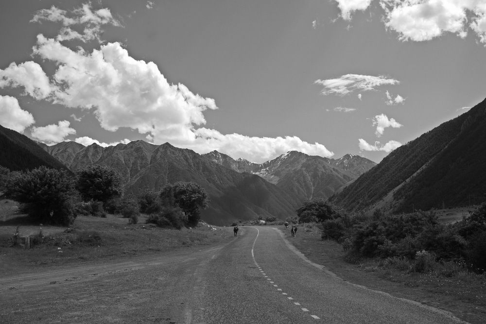 Фотография автора Медведев Сергей