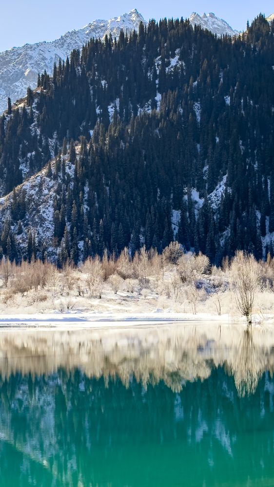 Первый снег на озере
