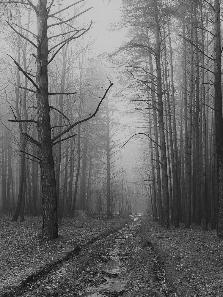 Фотография автора Лариса Гришкевич