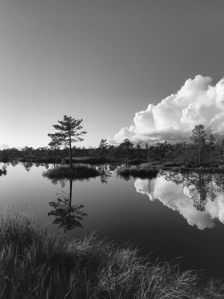 Фотография автора Лариса Гришкевич