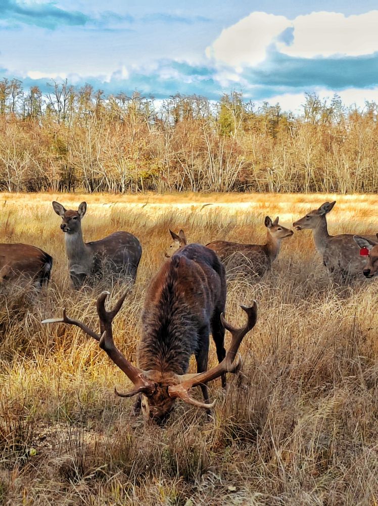 Photograph by Марина