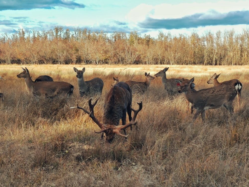 Photograph by Марина