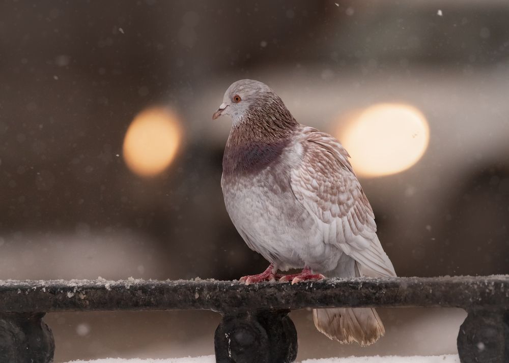 Photograph by Тамара Вотинцева