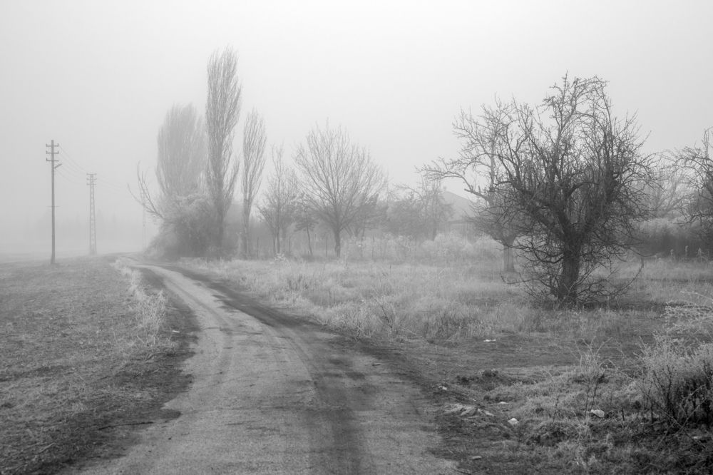 Photograph by Nesrin Ates