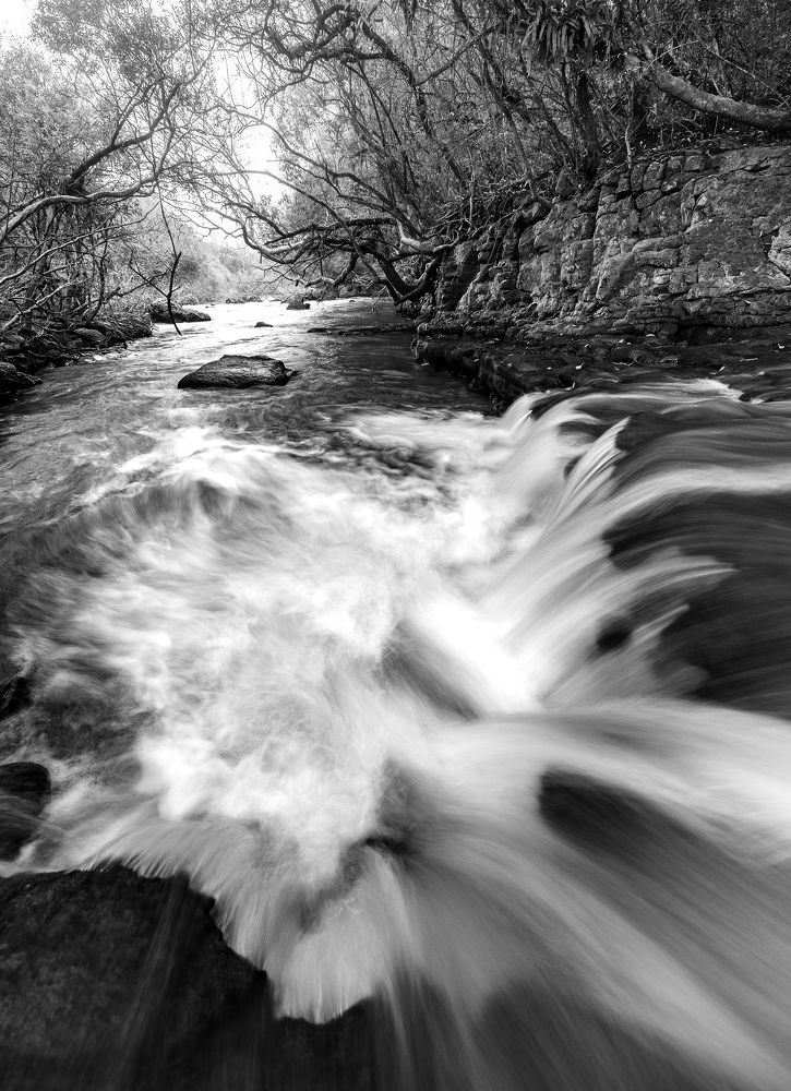 Photograph by Valdir Hobus