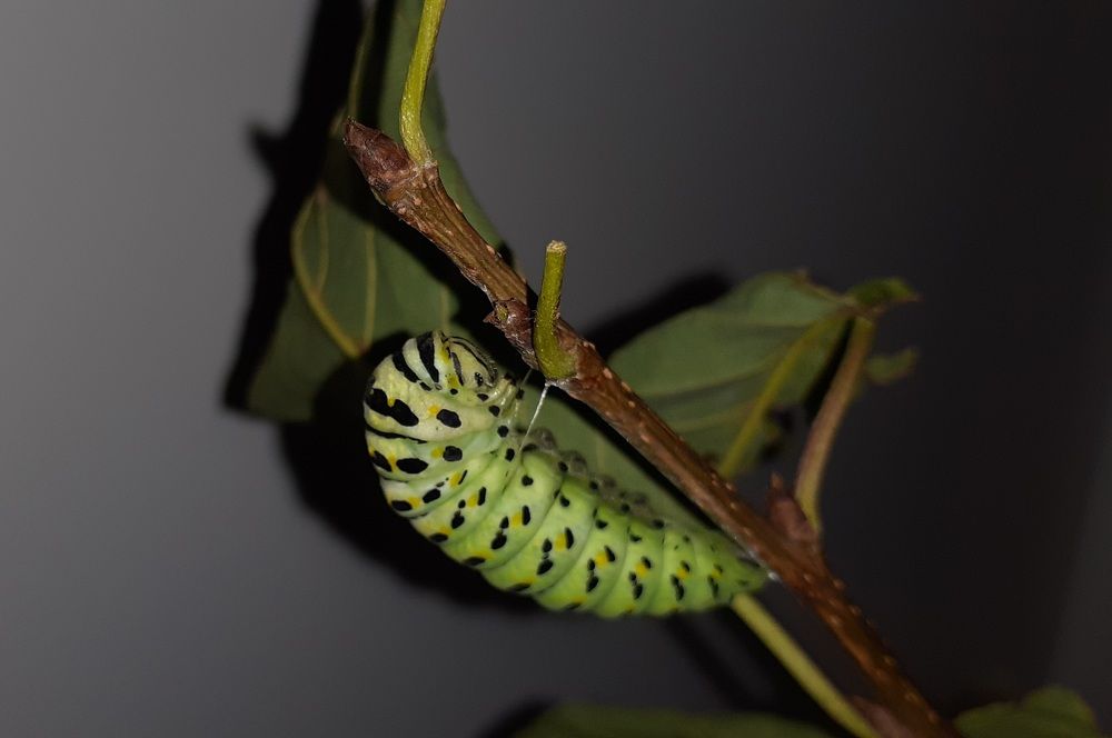 Photograph by Кристина Присяжная