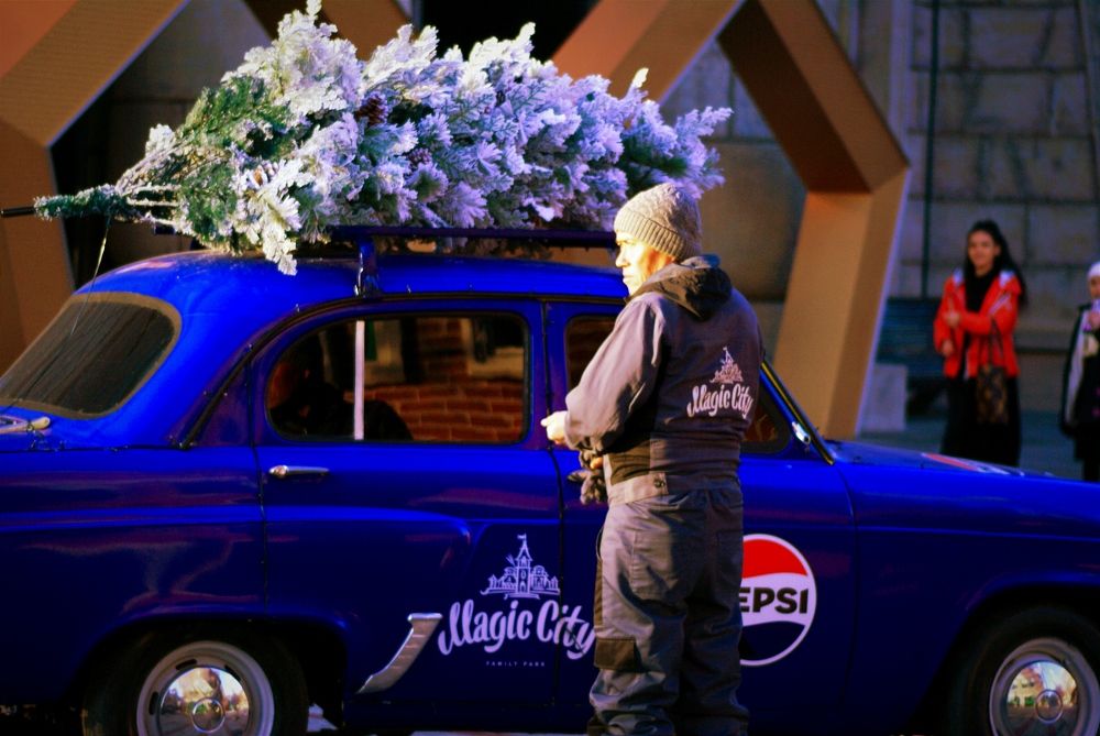 Photograph by Владимир Ким