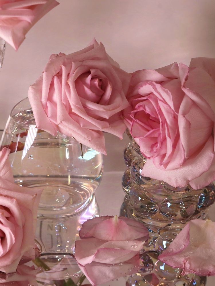 Хрупкая красота и время