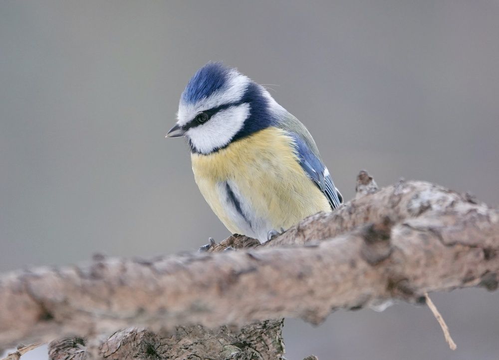Photograph by Татьяна Орлова
