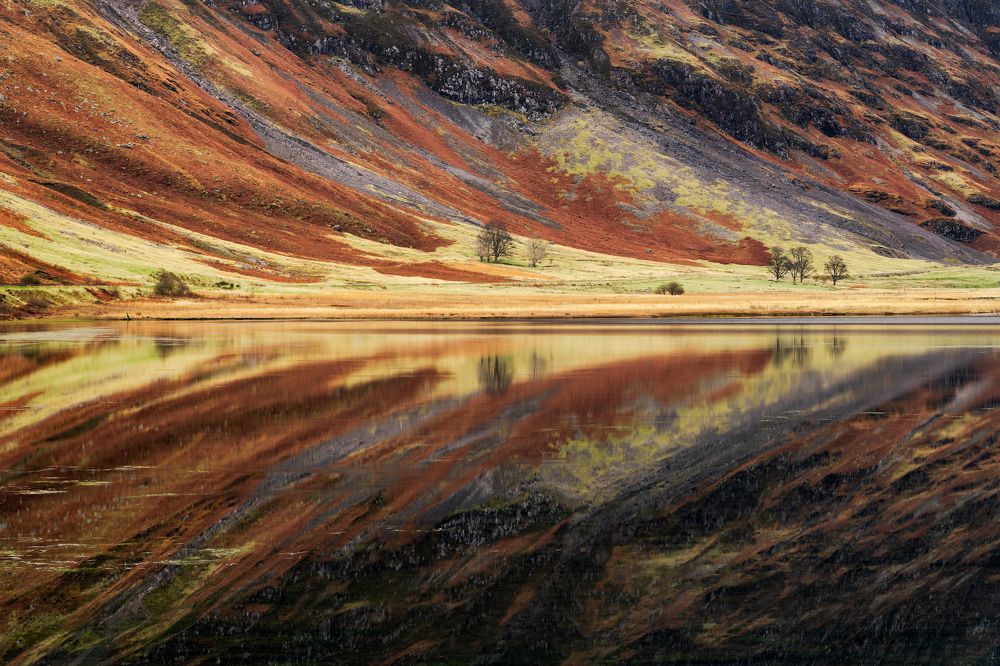 Photograph by Эрнест Вахеди