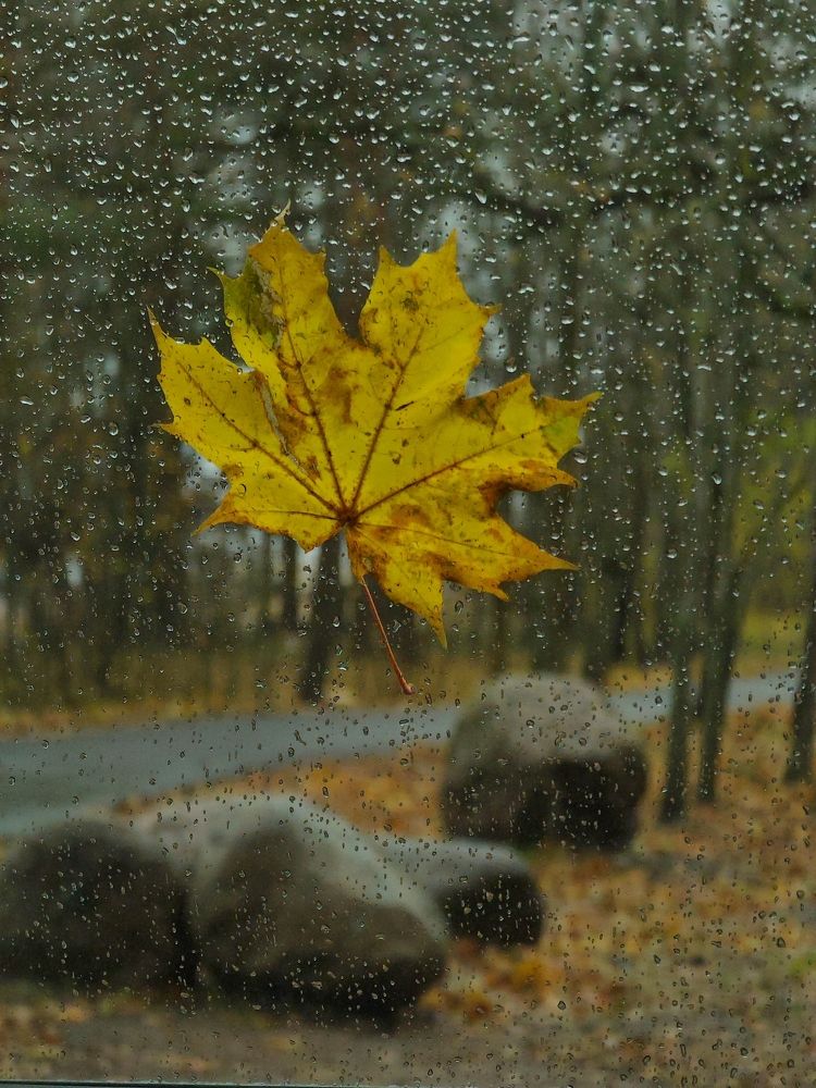 Photograph by Мария Устьянцева